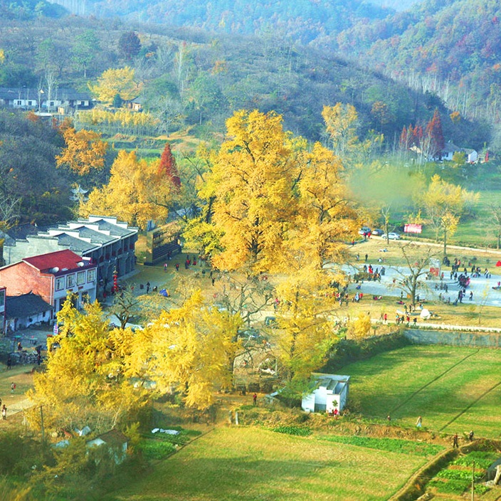 高冠山古山寨